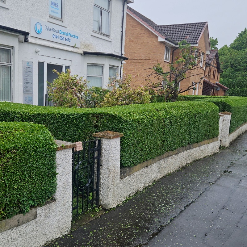 Local Dental Clinic garden tidy with hedge cutting
